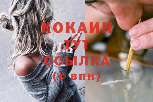 мескалин Богданович