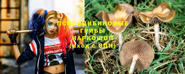 метадон Белокуриха