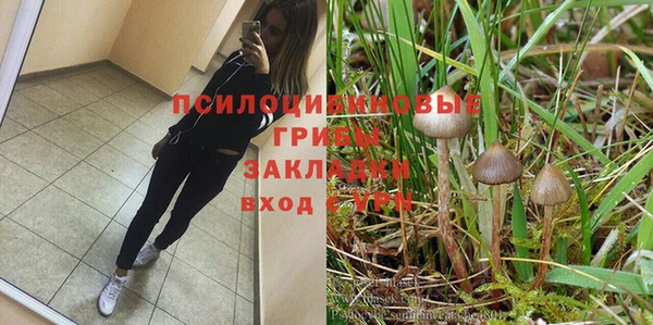 мескалин Богданович