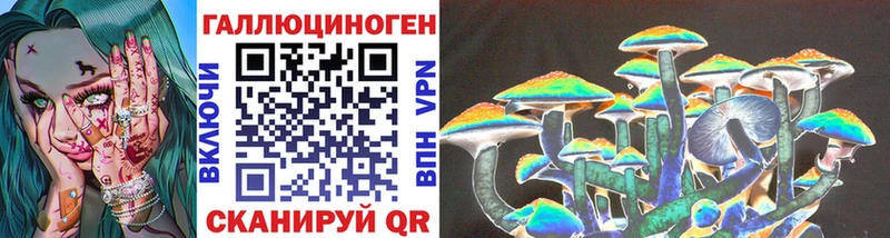 Галлюциногенные грибы Psilocybe  продажа наркотиков  Бирск 